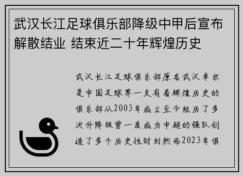 武汉长江足球俱乐部降级中甲后宣布解散结业 结束近二十年辉煌历史